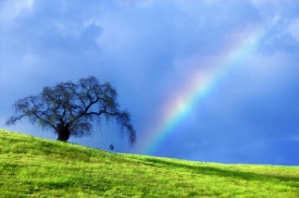 El hombre que se robo el arcoiris