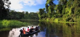 Tortuguero es un santuario natural