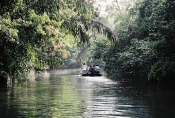 Tortuguero un paraíso.