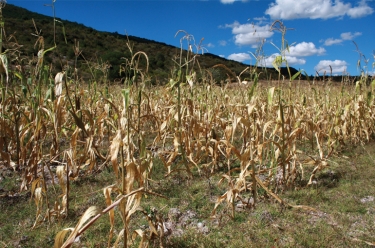 El Fenómeno de El Niño y el cambio climático 4