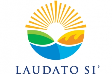 Laudato Si y el fenómeno del “cosismo”.