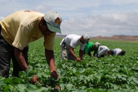 Día del Agricultor